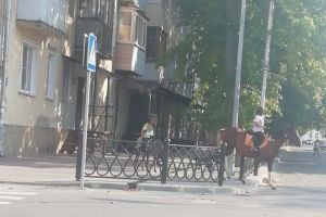 В Пензенской области возмутились детскими покатушками на лошадях
