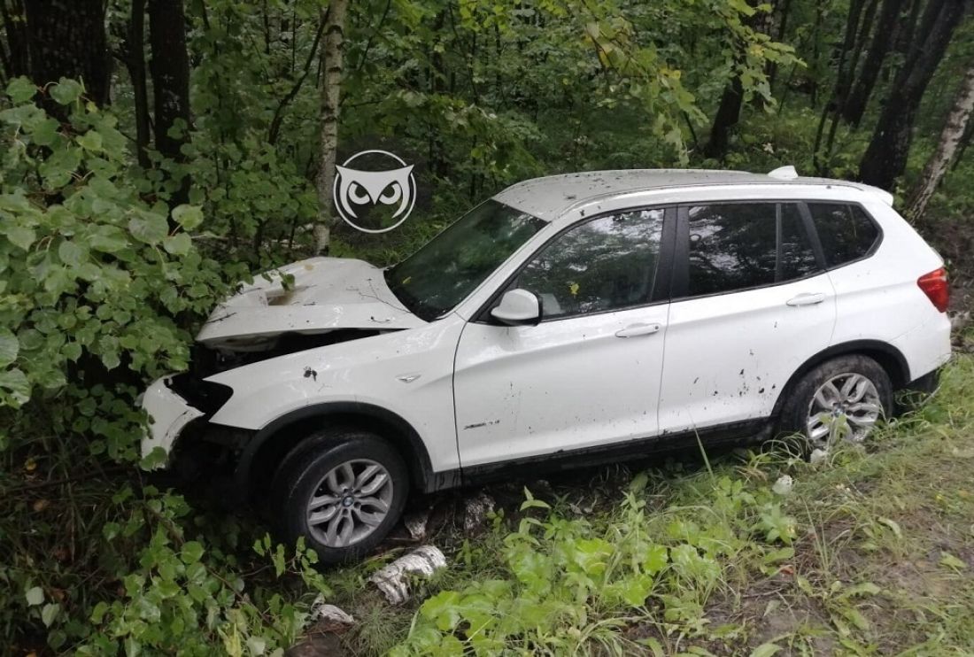 В Золотаревке девушка на машине слетела с дороги и врезалась в дерево