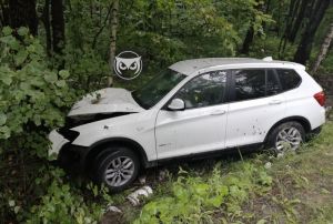 В Золотаревке девушка на машине слетела с дороги и врезалась в дерево