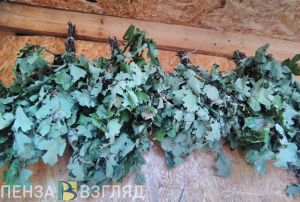 Как правильно заготавливать веники для бани