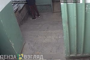 В Пензе два парня справили нужду в подъезде жилого дома