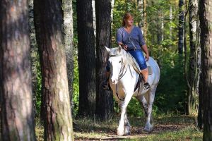 Пять лучших мест Пензенской области для конных прогулок