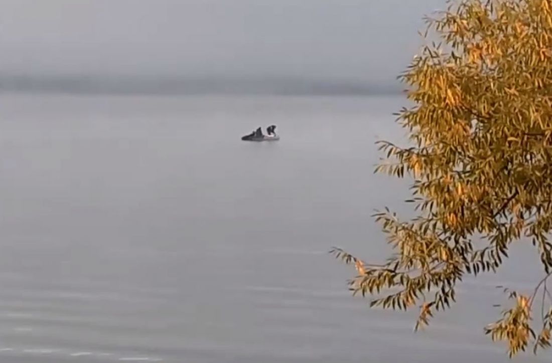 Пензенских рыбаков на водоеме взбесили «километры сетей»