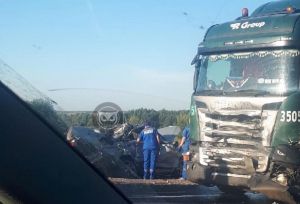 Последствия жуткого ДТП с двумя погибшими в Пензенской области попали на фото