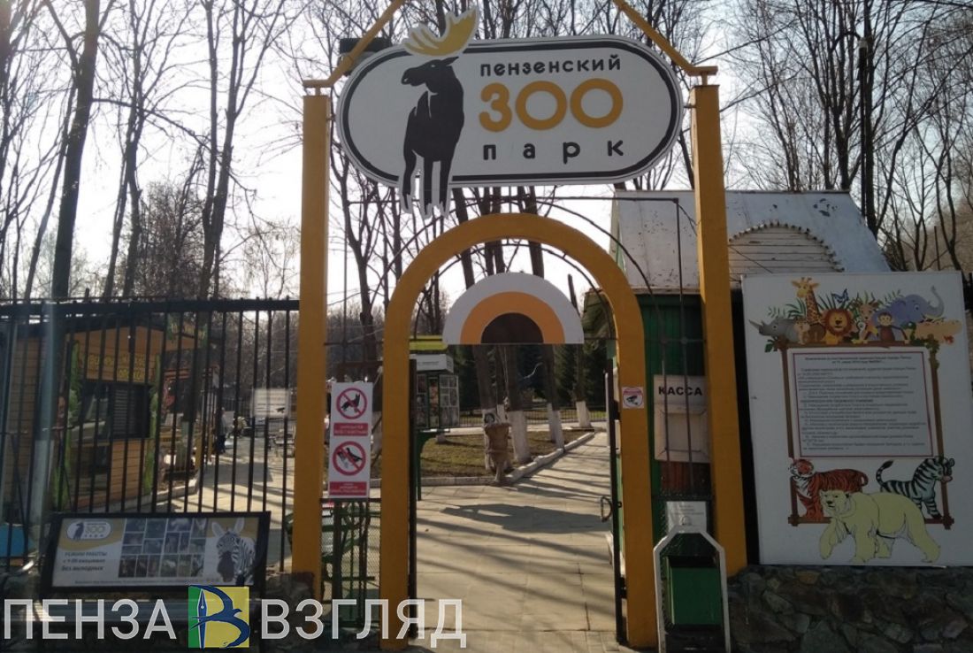 В пензенском зоопарке изменился режим работы