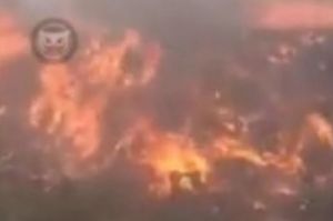 «Чемодановка горит!» Очевидцы сообщают о пожаре под Пензой