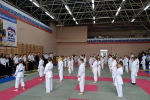 Пензенская сборная по всестилевому каратэ отправится на всероссийские соревнования