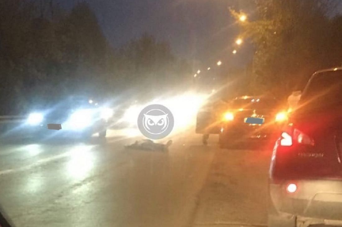 Человек лежит на дороге. В пензенской Заре сбили пешехода