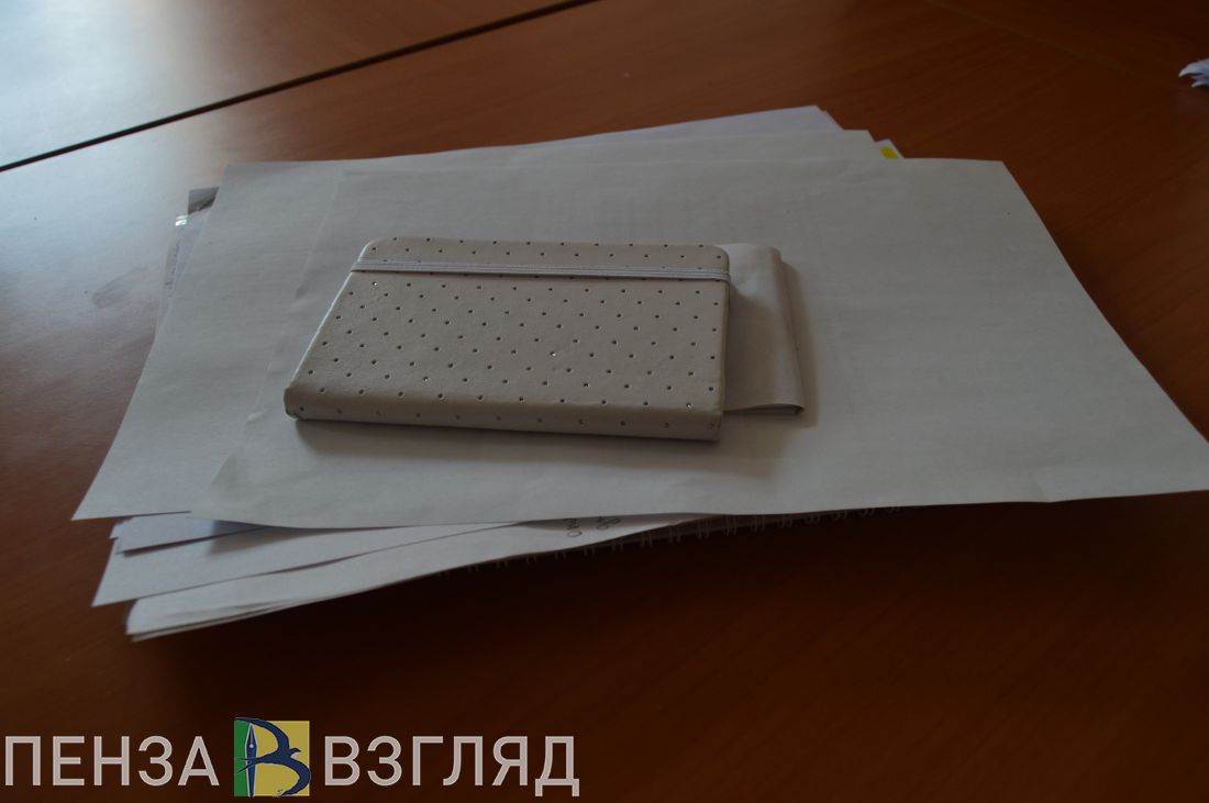 В Пензенской области стартовал «Культурный марафон»