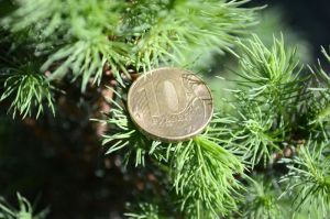 Пенсия досрочно. В ПФР назвали счастливчиков 2021 года