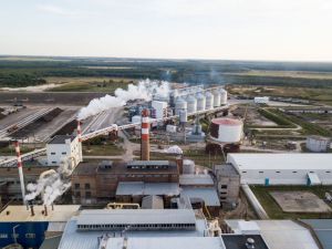 Пензенский агропром экспортировал продукцию почти на 83 миллиона долларов