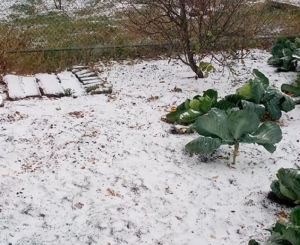 В Пензенской области прошел первый снегопад. Видео