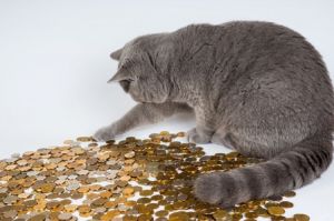 Успей воспользоваться. Россиянам пообещали скидку на 50%