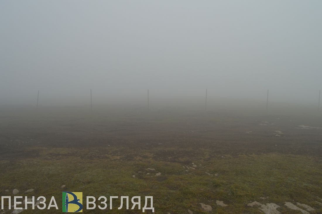 Сильный туман, убийство девушки и пропавший парень - новости Пензы за 3 ноября