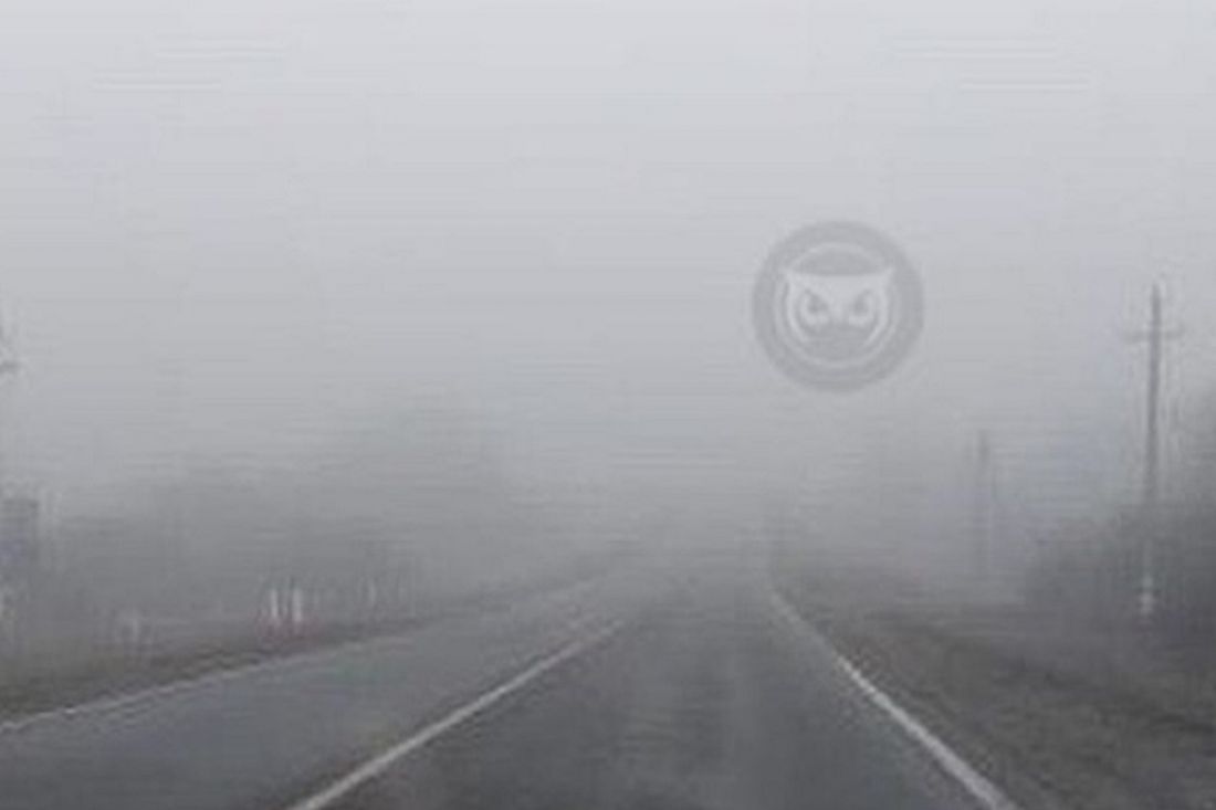 Пензенские водители предупреждают о сильном тумане на трассе