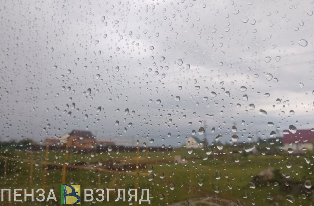 Дождливая погода, поиски молодого человека и отключение воды - новости Пензы за 5 ноября