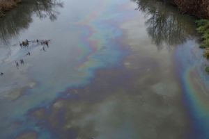 Горожанина обеспокоили масляные пятна на поверхности водоема в Пензе