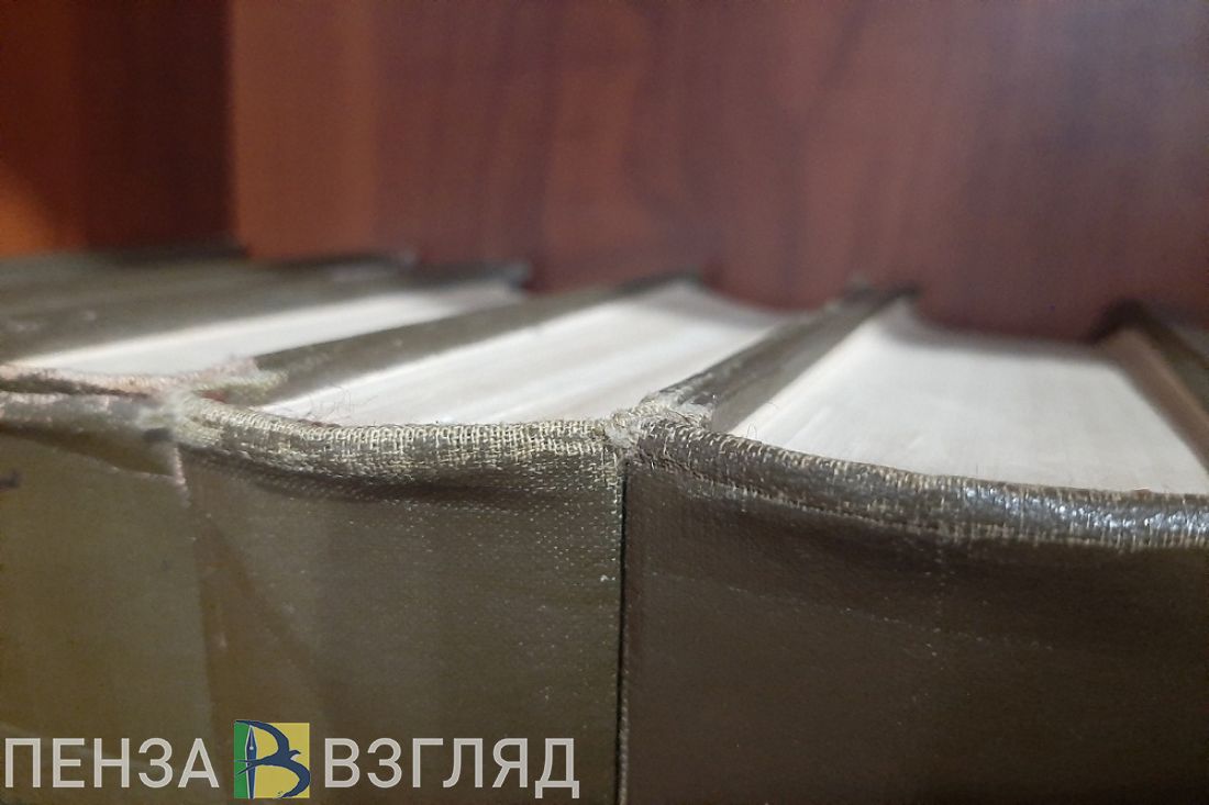Скончавшаяся поэтесса, ДТП с «ГАЗелью» и истлевшая постель: новости Пензенской области за 7 ноября