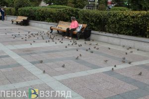 В ПФР рассказали, как можно лишиться пенсионных выплат по неосторожности