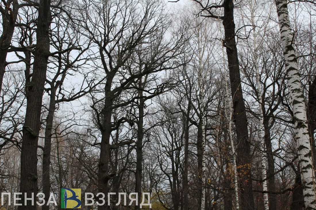 В Каменском районе школьники сдали туристский поход