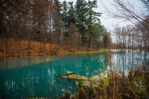 В сети появились фотографии пензенского озера нереально красивого оттенка