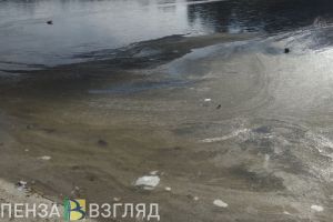 В Заречном дети гуляют по тонкому льду пруда
