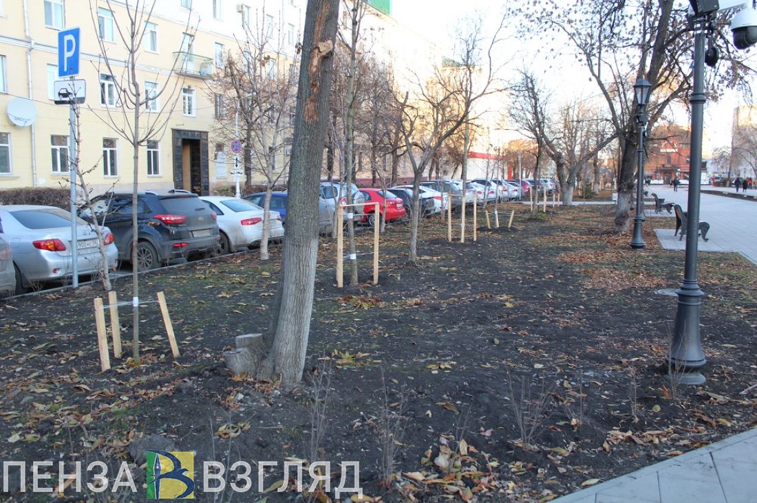 На озеленение Пензы заложат 101 миллион рублей