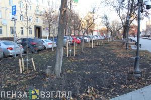 На озеленение Пензы заложат 101 миллион рублей