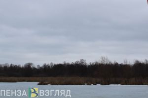 Утонувший малыш, доставка пациентов на вертолете и закрытие магазина: новости Пензенской области за 21 ноября