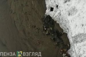 Пензенец заснял на видео бьющий из-под асфальта источник