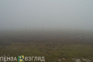 Густой туман, старт праздничных мероприятий и сельское убийство - новости Пензы за 27 ноября