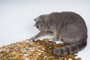 Некоторым россиянам в декабре выплатят пенсию дважды