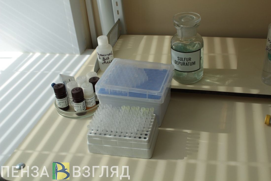 Смерть медработников, саморез в носу и попытка суицида: новости за 4 декабря
