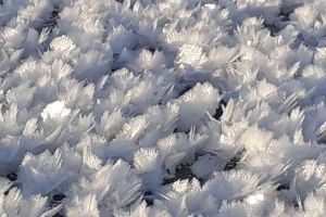 На пензенском водохранилище рыбаки восхитились красивым явлением. Фото
