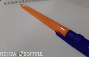 В Пензе прошел онлайн-фестиваль инклюзивного образования
