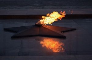 Пензенцы обсуждают поведение школьниц у Вечного огня