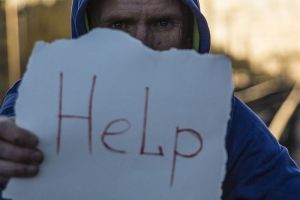 В Пензенской области крупное дикое животное вышло в центр города. Видео