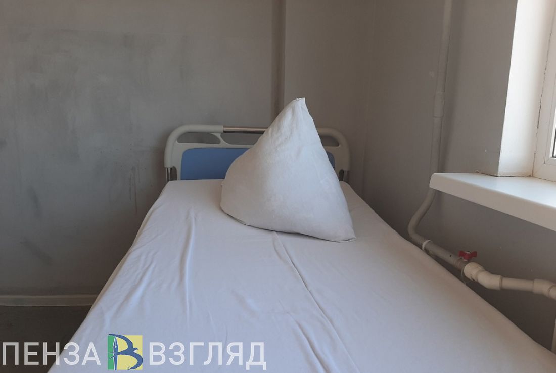 «Постковидный синдром», дикое животное и новый антирекорд по заболевшим: новости за 23 декабря