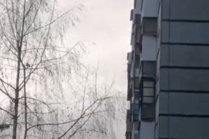 На улице Терновского в Пензе девушка грозила прыгнуть с балкона. Видео