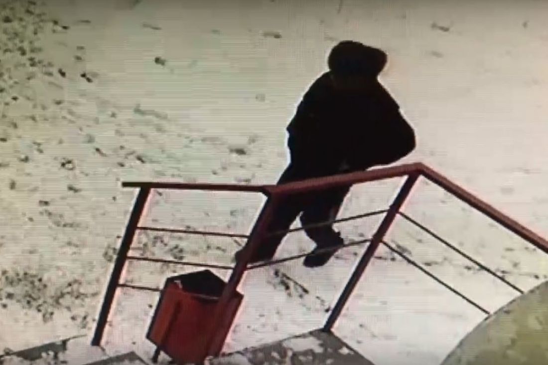 В пензенском районе Шуист мужчина совершил «похищение века». Видео