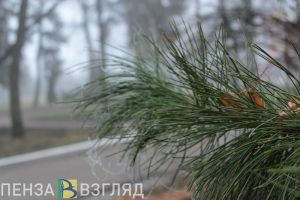 Маленьких пензенцев приглашают в парк Белинского