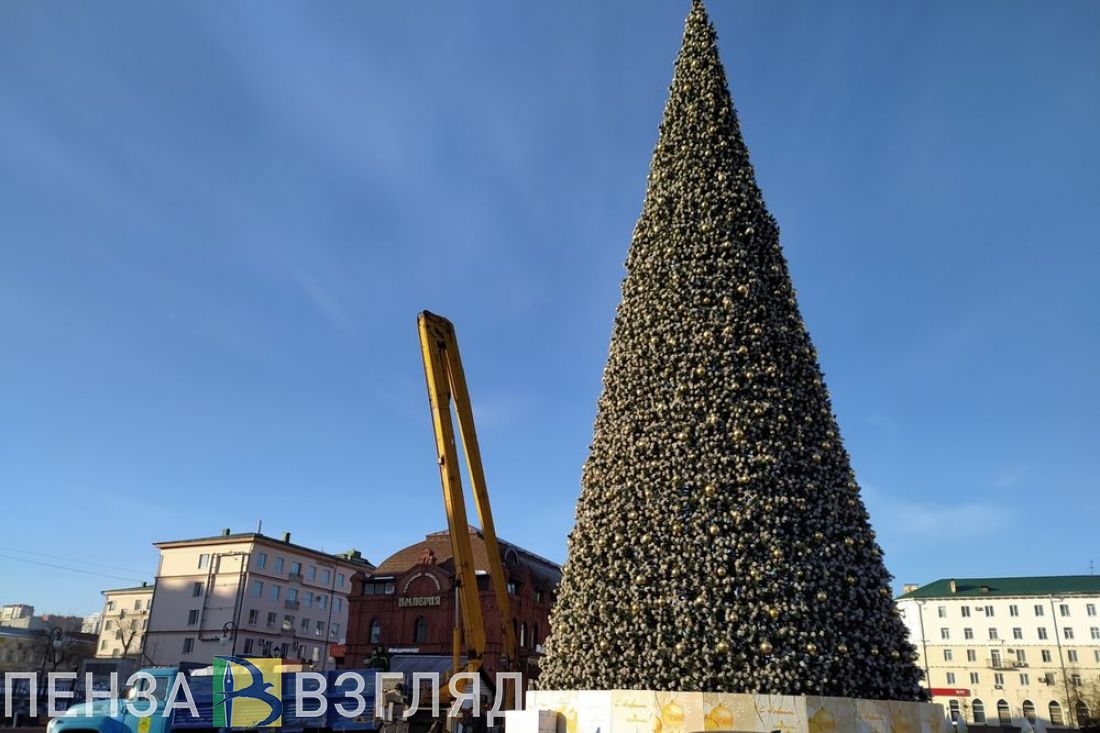Пензенская елка попала в десятку самых высоких в России