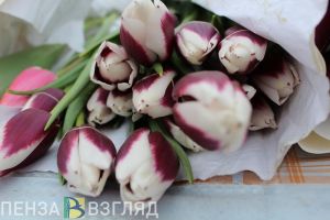 В Пензенской области два педагога удостоены звания «Народный учитель»