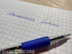 Записывать ребенка в школу в 2021 году пензенцы будут по-новому