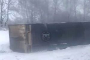 На трассе «Тамбов-Пенза» фура слетела в кювет и опрокинулась