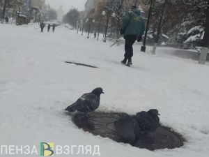 Снегопад, которому почти удалось парализовать Пензу. Фоторепортаж