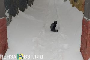 Куда звонить, если завалило снегом?