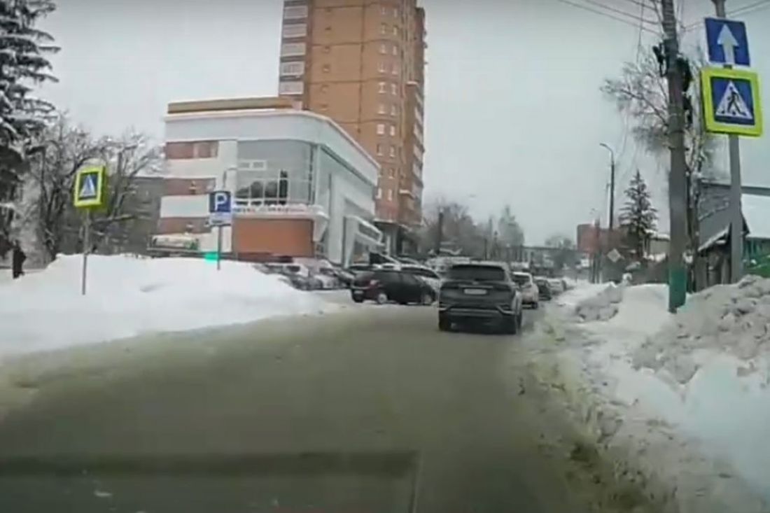 Житель Пензы встретил на дороге неожиданного «гостя». Видео