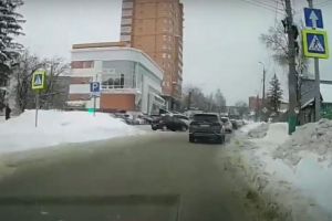 Житель Пензы встретил на дороге неожиданного «гостя». Видео