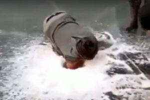 Рыбаки устроили варварскую «охоту» на задыхающуюся рыбу. Видео